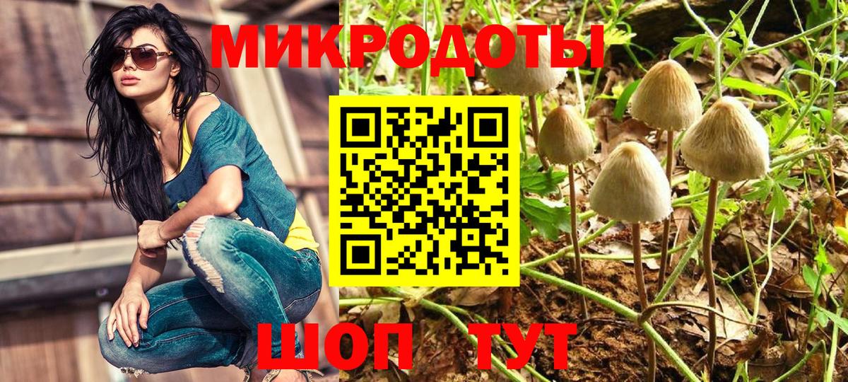 Галлюциногенные грибы Magic Shrooms  Вход с VPN  Шарыпово 